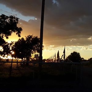 Meet your Posher, Tamara